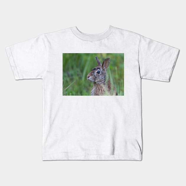 Wild rabbit in the meadow Kids T-Shirt by Jim Cumming